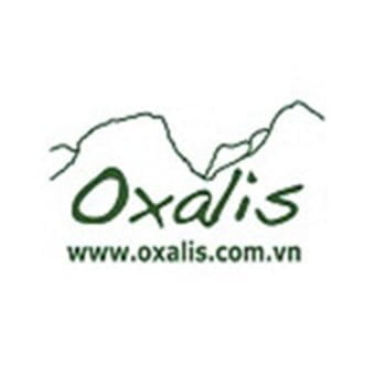 Oxalis